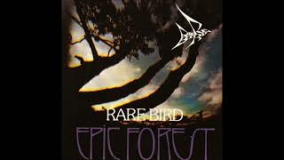Watch Rare Bird Baby Listen video