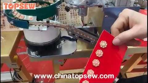 Automatic multifunction pineapple nails plastic button setting machine TS 198 E