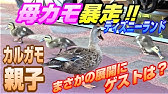 カモの親子 パレード 7 17 東京ディズニーランド Tokyo Disneyland Youtube