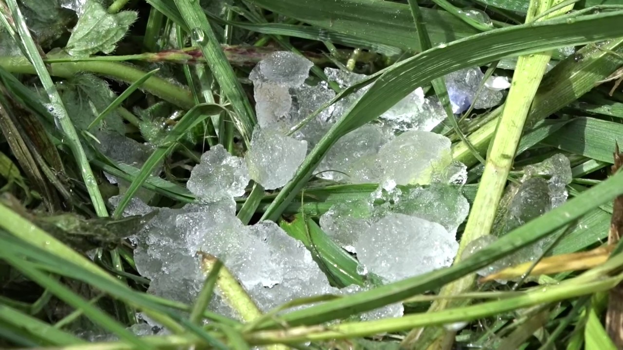 Тает снег весной. Таяние снега. Растает снег весной. Долго не тающий снег. Ранняя весна.