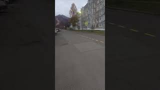 дорожная разметка