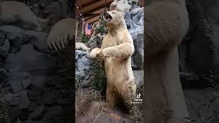 Impressive Taxidermy at @Cabela-s