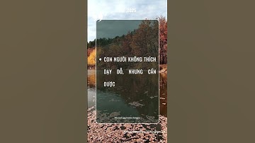 #168 Triết Lý Giáo Dục Tận Gốc #thauhieunoitamkientaoanvui #baihoccuocsong #wit #cauchuyennoitam