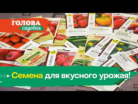 Голова садовая - Семена для вкусного урожая!