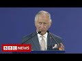 Diversity is Commonwealth's strength, Prince Charles says in Rwanda speech - BBC News