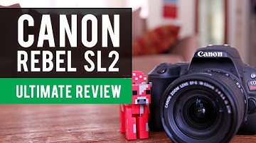 Canon SL2 EOS Rebel Camera (200d): Ultimate Review