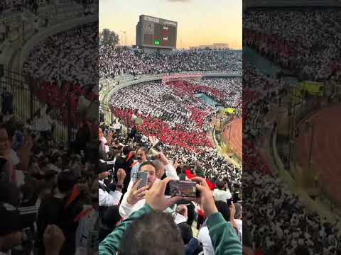 زملكاوي 🥰#الزمالك #zsc #zamalek #برشلونة #زملكاوي