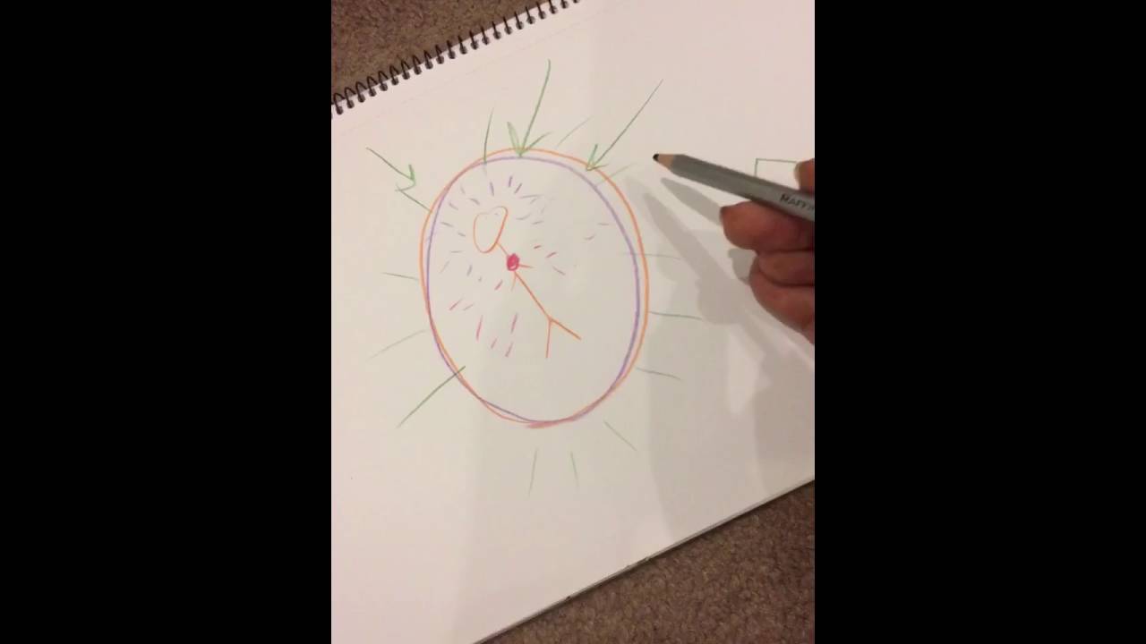 طاقة المكان ج ١ - مريم الدخيل