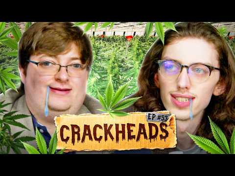 Does Smoking Weed Make You Stupid? | Crackheads ep. 53