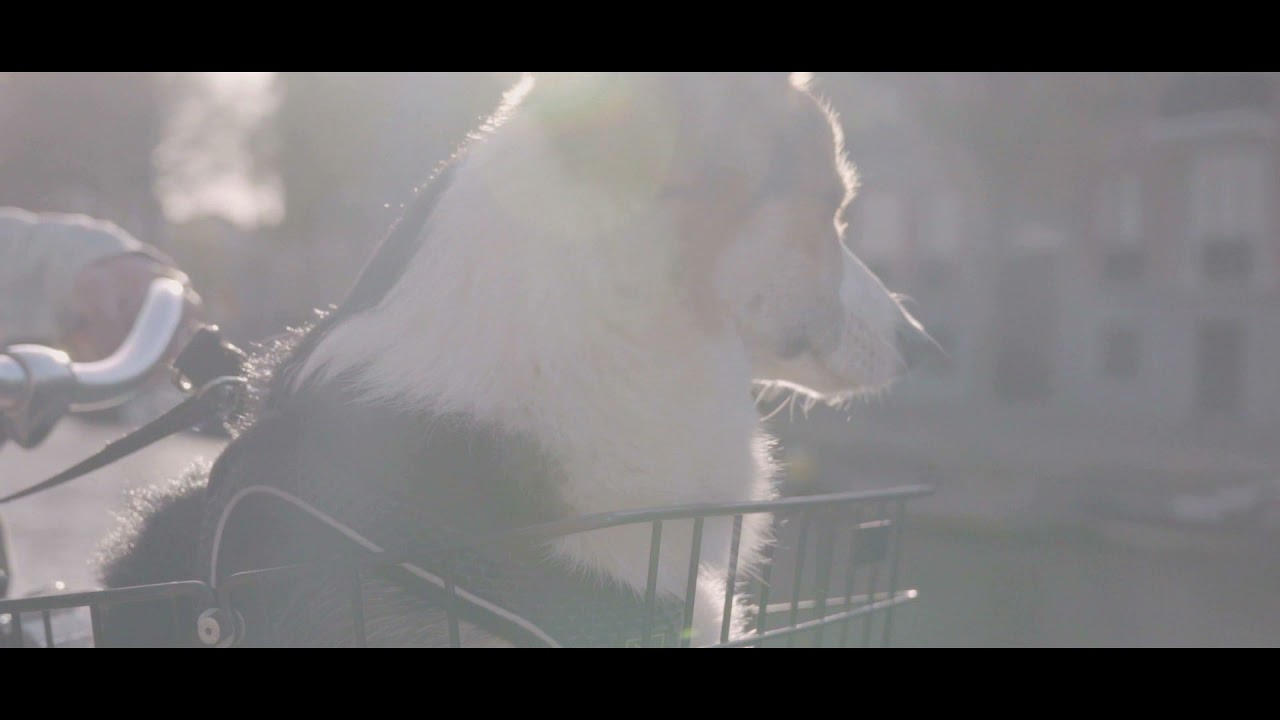 Jay Nash 'Strange Illusion' Official Video