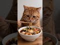 Mukbang 🐱 #catvideo #cat #asmr #cute #mukbang