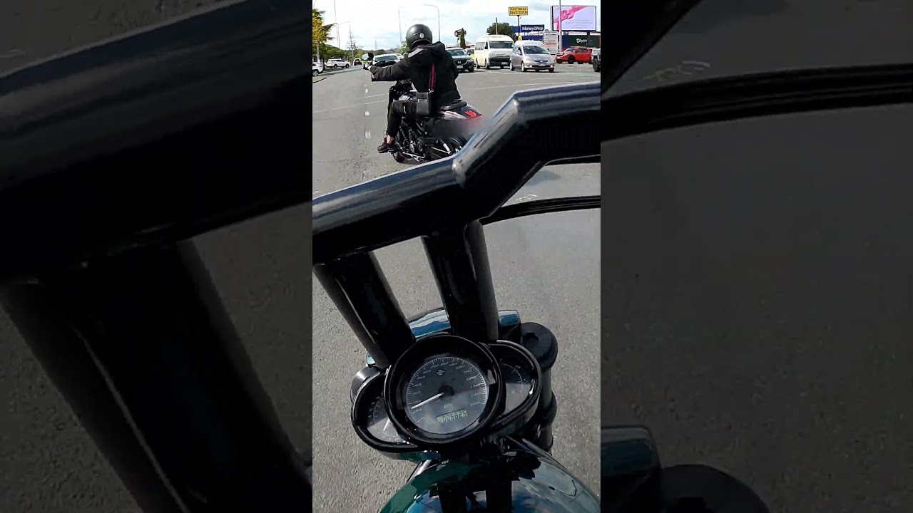 Harley Davidson Vrod Night Rod Special Snakey 