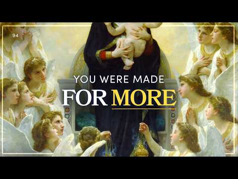What Are We Made For? | MEDITATIONS | Fr Gavan Jennings