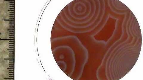 Spatio-temporal pattern of BZ reaction