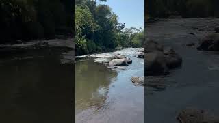 fyppp #electronicmusic #housemusic #beats #music #dj