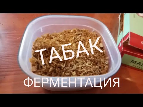 Обзор домашнего ферментированного табака