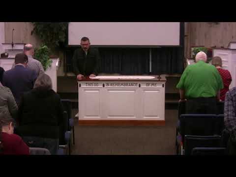 Video preview