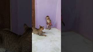 Viral  Sokyaasokhaa To To And Mom Are Famous U0026 Amazing shorts