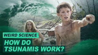 How Do Tsunamis Work? | Weird Science