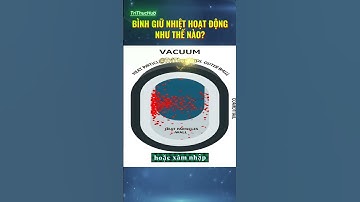 Tại Sao Bình Giữ Nhiệt Lại Giữ Được Nóng Lạnh? #shorts