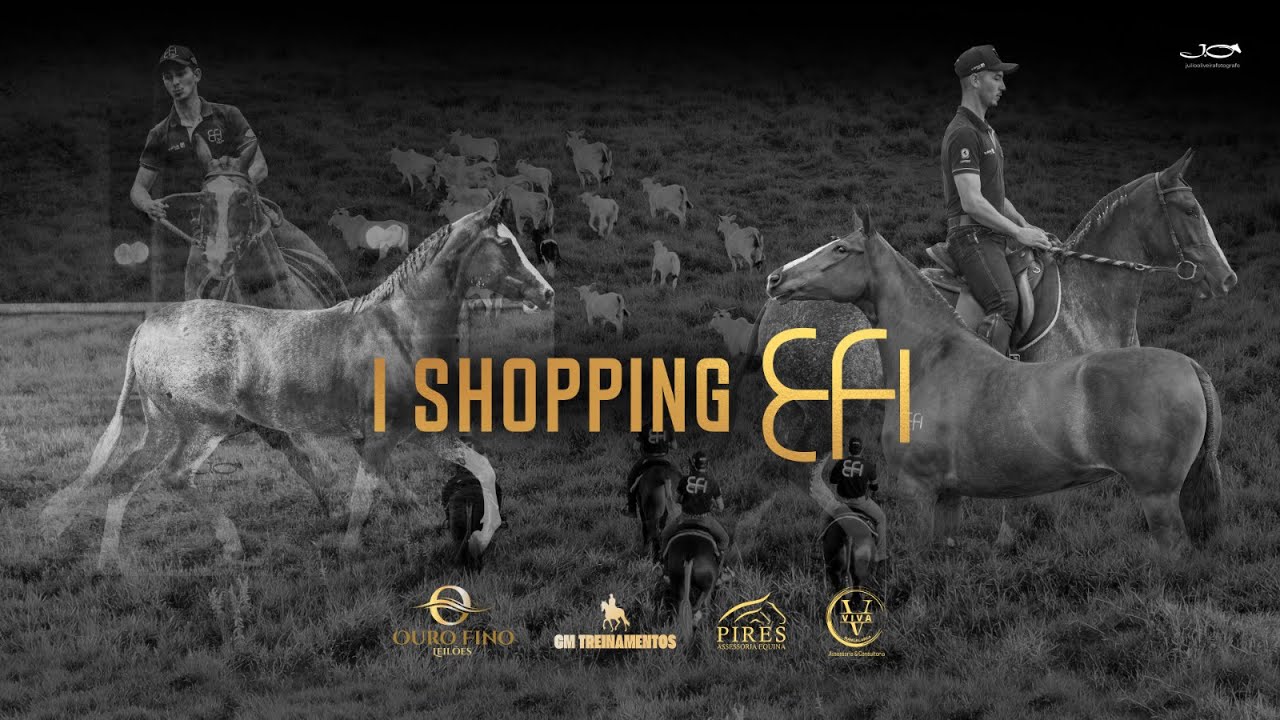 LIVE DE APRESENTAÇÃO | 14/04 ÀS 20H | 1º LEILÃO SHOPPING EFI