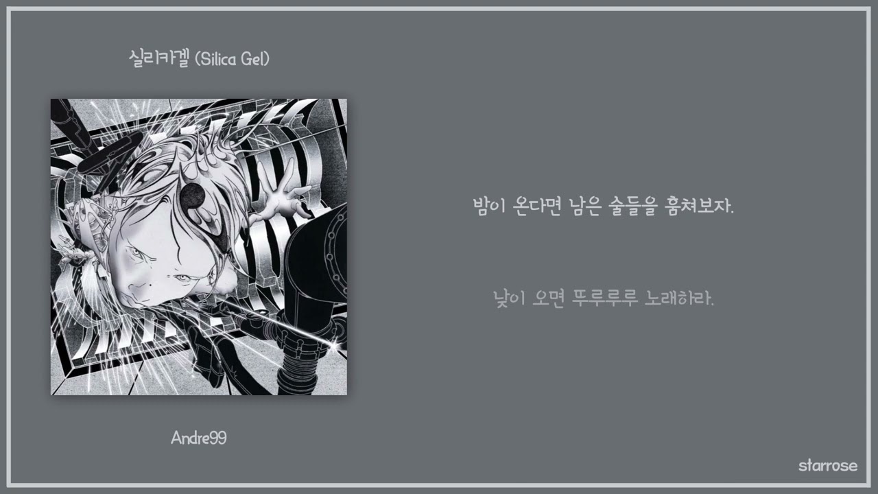 실리카겔 (Silica Gel) - Andre99 [가사] - YouTube