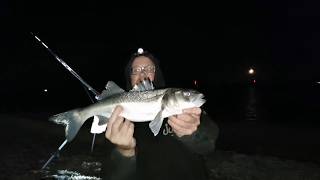 Sea Fishing live talk show!!