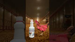 Motion Graphics - Social Media Of (Atco Pharma)