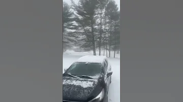 Snow Time In Belfast Maine USA 