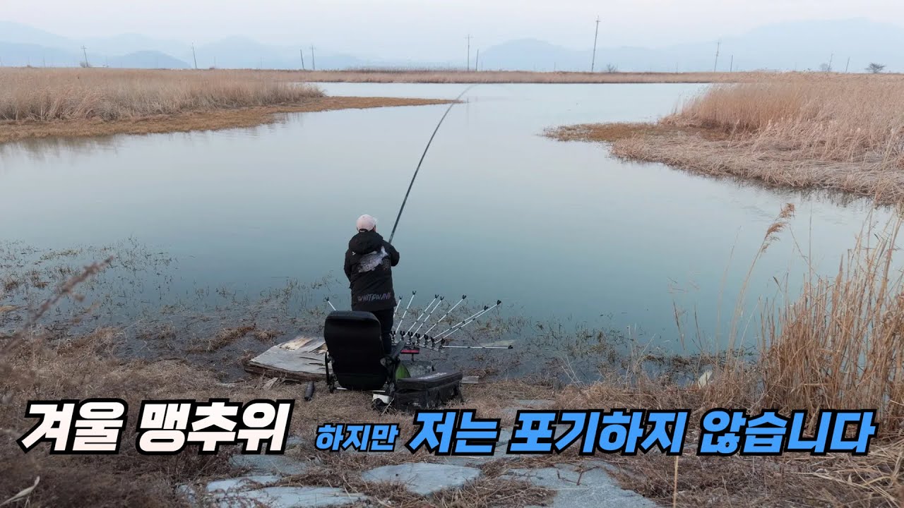 겨울 맹추위 저는 포기하지 않습니다