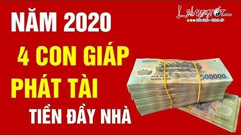 Tử Vi 2020 Top 4 Con Giáp Phát Tài Phát Lộc Tiền Bạc Đầy Nhà Không Lo Túng Thiếu - Tử Vi 12 Con Giáp