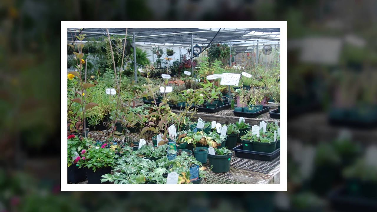 Creekside Nursery YouTube
