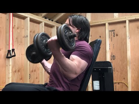 BULK to 220lbs Day 135 Natural bodybuilding back and bicep day - YouTube