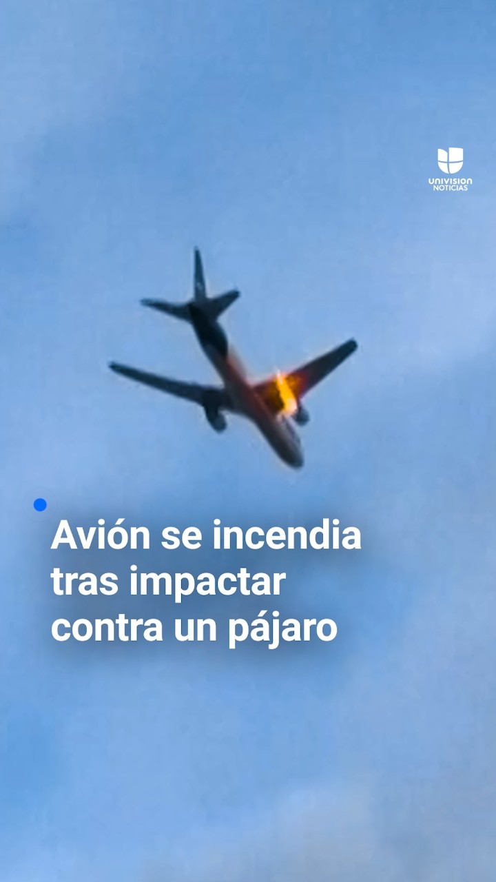 Avión de FedEx se incendia tras impactar con un pájaro