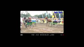 Festival Kuda Pacu Andong Semarak Diadakan Di Kabupaten Bantul !!