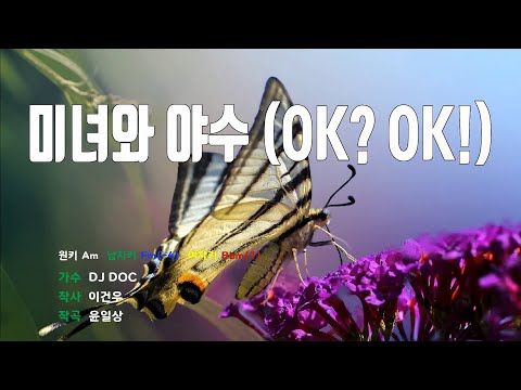 [은성 반주기] 미녀와야수(OK? OK!) - DJ DOC