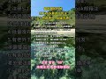 #赚钱#副业#运营#短视频#跨境电商#商业思维#带货#自媒体#TikTok赚钱#创业
