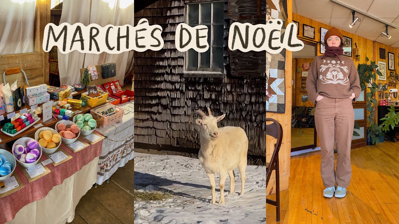 -15°c dans la grange pour le dernier marché ⛄️ vlog d'artiste qui a froid 🖍️