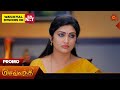 Sevvanthi  promo  20 april 2024  tamil serial  sun tv