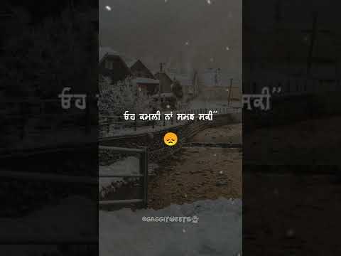 ਓਹ ਕਮਲੀ ਨਾਂ ਸਮਝ ਸਕੀ ? New Punjabi Sad ? Status | Whatsapp Lyrics Status #shorts #reels #status