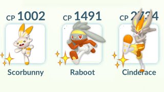 Using Shiny Scorbunny, Raboot, Cinderace Evolution Line In Pokemon Go.