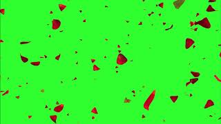 rose petals free green screen effect