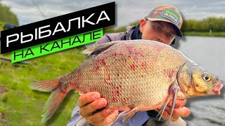 ЛОВЛЯ ЛЕЩА НА ФИДЕР / РЫБАЛКА НА КАНАЛЕ / FROS FISHING