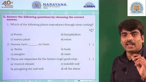 28TH JUL PAN INDIA CLASS V SCIENCE ASSIGNMENT KEY