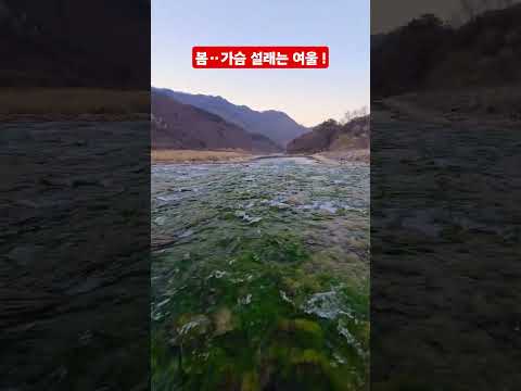 <strong>봄이다</strong> 싸돌아  댕깁시다 ᆢ?