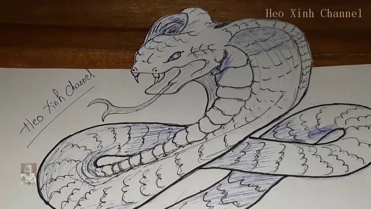 What a lovely 3d / snake drawing(vẽ phác họa con rắn) - YouTube
