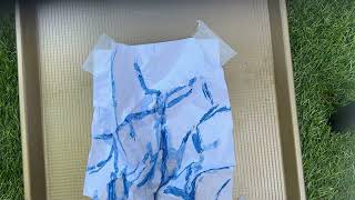 Watershed Pollution Experiment