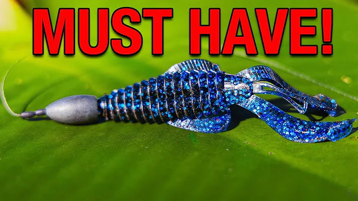 I NEVER go Florida Bass Fishing Without This Texas Rig Setup!