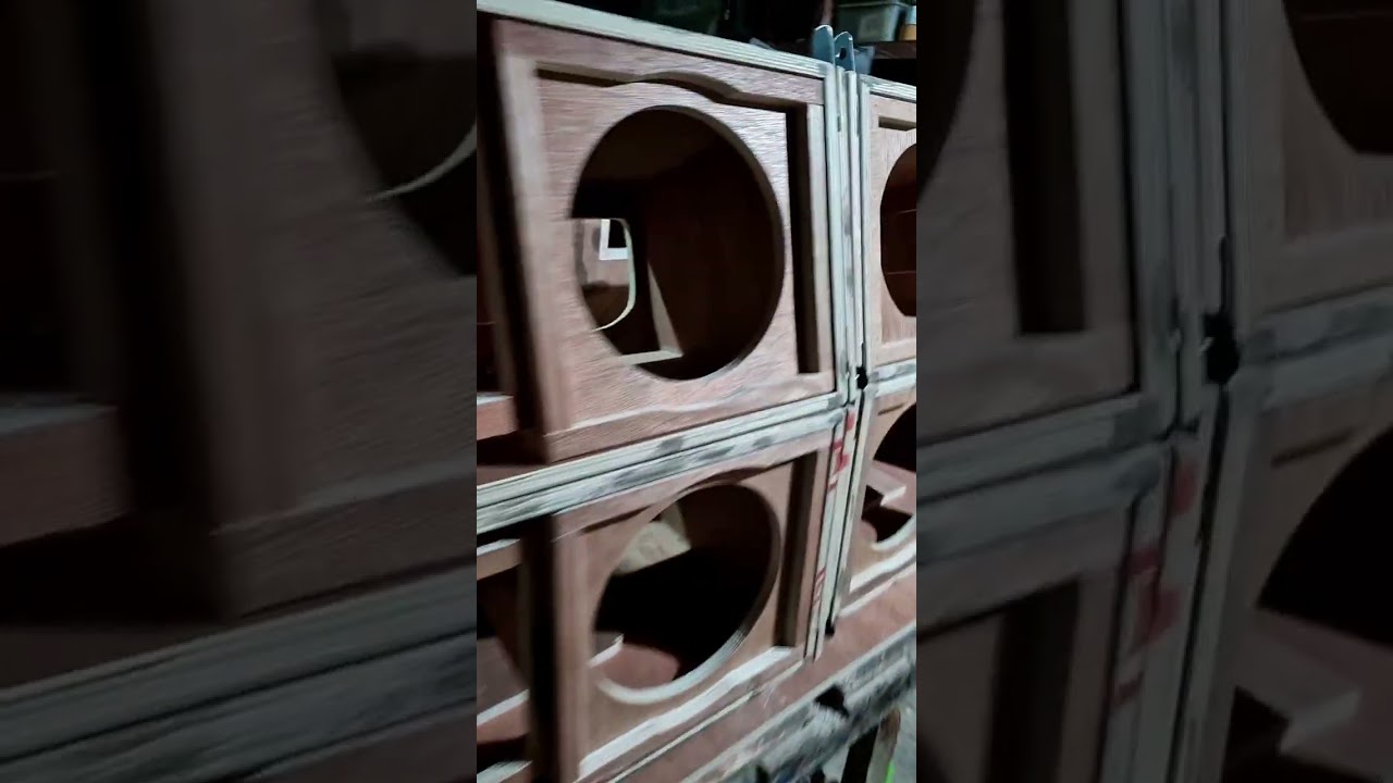 DIY Line Array D10..