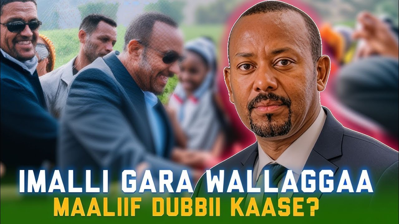 QE'EE KEENYA: IMALA GARA WALLAGGAA - JIBBAMOO INAAFFAA